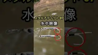 メタルアディクト07　水中映像　リトルジャック