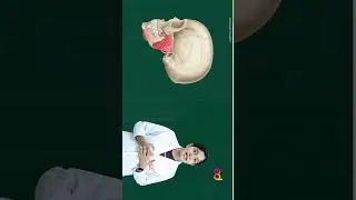 Salivary Secretions Part - 1 #shorts