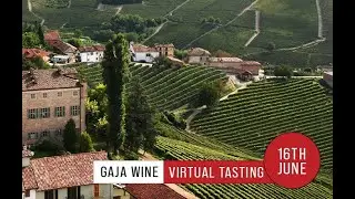 Gaja Tasting with Giovanni Gaja