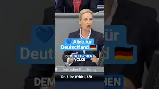 Alice f&uuml;r Deutschland 💙🇩🇪 #afd #deutsch #deutschland #shorts #politik #ytshorts #memes #short