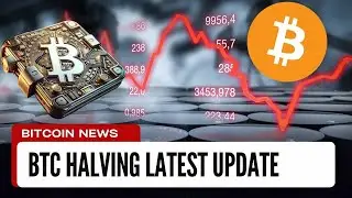 BTC halving 2024 latest update l Btc halving april 2024 l btc halvin news #BTC #btchalving