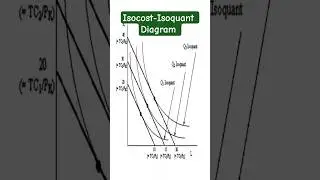 Isocost-Isoquant Diagram