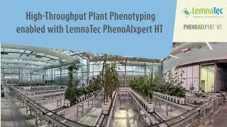 🌿 High-Throughput Plant Phenotyping enabled with LemnaTec PhenoAIxpert HT 🌿