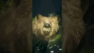 Up Close & Personal With Yukon Grizzly #huntinggames #thehuntercallofthewild #cotw #boopthesnoot