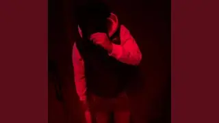 Free Brick (Freestyle)