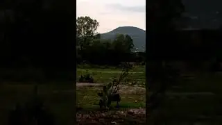 Fondo vueltas en el campo la cruz 2