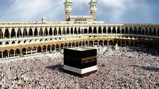 Healing Words Live 🌸 | Quranic Ayat & Islamic Motivation