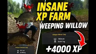 INSANE XP Farm at Weeping Willow &ndash; Level&nbsp;Up&nbsp;Fast!