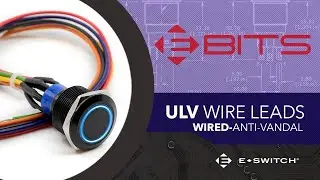 Anti-Vandal Switches: E-Switch ULV Wire Leads (2019)