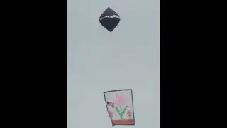 Uma pequena bandeira que encantou ...