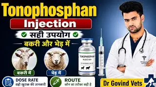 Tonophosphan Injection in Goat & Sheep | सही Dose, उपयोग, फायदे | Butafosfan + B12 Full Details