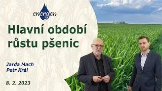 Co se děje ve sloupkování pšenic? Platí i pro ostatní obilniny. Jarda Mach a Petr Král