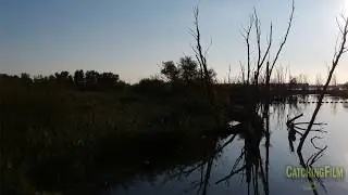 The Biesbosch - Trailer