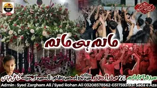 Matamdari 28 Safar { Hadala Syedan Dina } Karwan Sada e Labaik Ya Hussain a.s Rawalpindi 