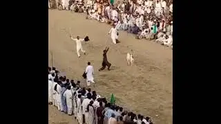 bakri ka mela peer nara murat talagang 24-6-2020