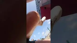 Insane Parkour jump 😳 #shorts #viral