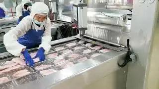 Frozen Tilapia Fillets Thermoforming Vacuum Packing Machine plastic film #packingmachine #包装机