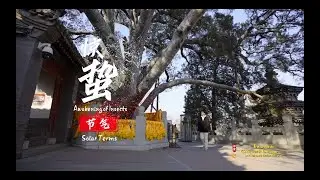 Beijing's Vibe of Intangible Cultural Heritage in Chinese Solar Terms: Awakening of Insects