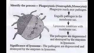 NO: 1 / SSLC / BIOLOGY / IMPORTANT QUESTIONS AND ANSWERS FOR 2021 MARCH EXAM