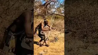 African Bush Hunt Begins | Hunters Rush as the Deer Breaks Cover.#shorts #wildlife