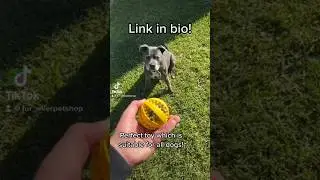 Buy yours today! Soft interactive dog toy! #dog #pets #dogtoy