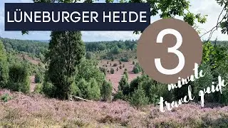 L&uuml;neburger Heide | Luneburg Heather | 3 Minute Travel Guide