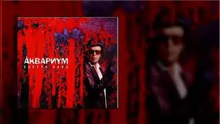 Аквариум - Северный цвет