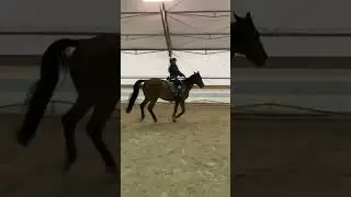 Tutaj jeszcze taki mini parkourek na Erze z wczoraj, jak na nią to super się wyskakala😻💗🫶🫶