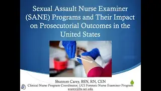 Sexual Assault Nurse Examiner Programs and Their Impact on Prosecutorial Outcomes in the U.S.