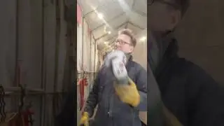 Metabo Quality Problem. 2 Grinders Dead in Same Day
