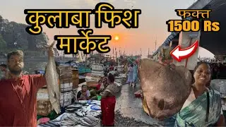 कुलाबा फिश मार्केट 🐟 ।। COLABA FISH MARKET . #trending #viral #video #explore #fishing #mumbai 