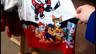 Behind The Bench: March 16, 2025: Brampton Steelheads at Niagara IceDogs!