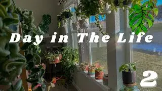A Day in My Plant Parent Life