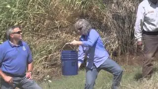 Rio Grande Silvery Minnow Stocking in Big Bend