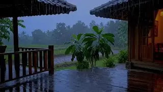 Gentle Evening Rain on a Wooden Porch | Rain Sounds for Deep Relaxation, Sleep, and Stress Relief
