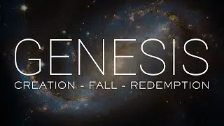 The Crown of Creation Pt 1 - Genesis 1:24 - 28
