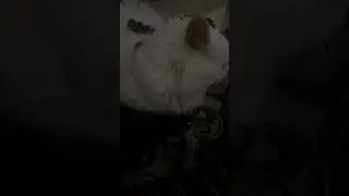 Когда ждёшь, чтоб давление померили.