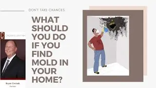 What Should You Do If You Find Mold in Your Home? | Toxic Mold Attorney |
