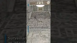 Surveillance shows man breaking into Washington Capitol, causing damage