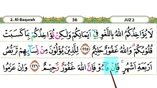 Tadarus ramadhan Surah Al Baqarah ayat 225-230