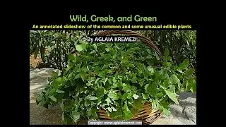 HORTA: The Edible Wild Greens of Greece