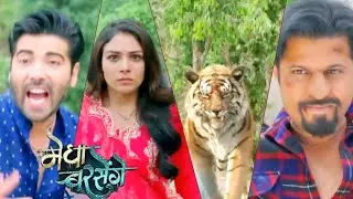 Megha Barsenge NEW PROMO 19th April: Megha Par Tiger Ne Attack Kiya; Kya Usse Bacha Payenge