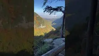 Cloudland Canyon, GA in the fall is a sight to behold #georgia #outdoors