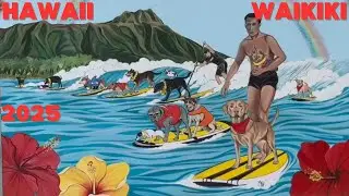 8/21/25 Dogs SurFUR ComPETition, Duke Kahanamoku Ocean Fest, Waikiki Kuhio Beach, Honolulu Hawaii.
