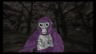 Rpov: rays vr thinking he's the best