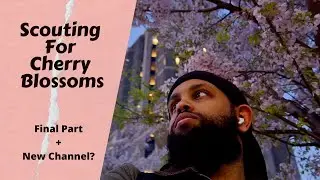 Cherry Blossoms - Final Part + New Channel?