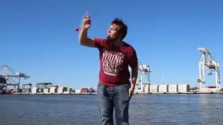 Ringdama and Cranes