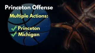 Multiple Actions: Princeton and Michigan