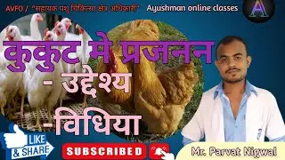 कुकूट में प्रजनन की उद्देश्य एव विधिया/ poulatry breeding / veterinary/ Parvat Nigwal/ Ayushman