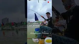 Đ&agrave;i sư Trung Quốc bắt nhịp phao r&ocirc; phi m&acirc;m cực đỉnh #khoahuyenfishing #fishing #thinhhanh #cauca